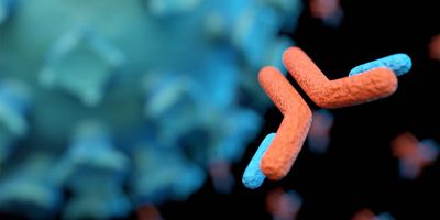 A computer image of an antibody attacking a COVID cell