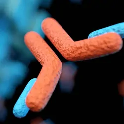 A computer image of an antibody attacking a COVID cell