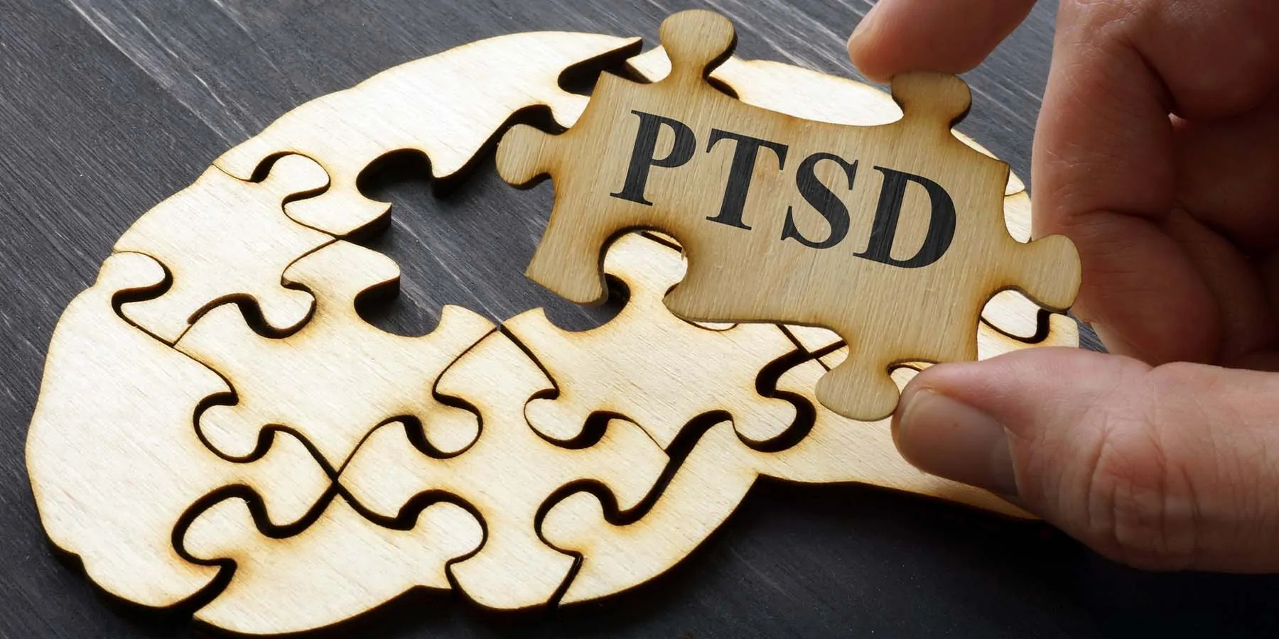 A jigsaw puzzle of a human brain with a missing piece labled PTSD