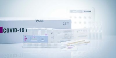 Componants of various COVID-19 testing kits resting on a white background