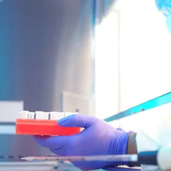 The commutability, flexibility, and genomic complexity of cell line-derived reagents provide gold-standard controls for assay development