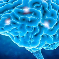 3D computer image of a human brain on a blue background