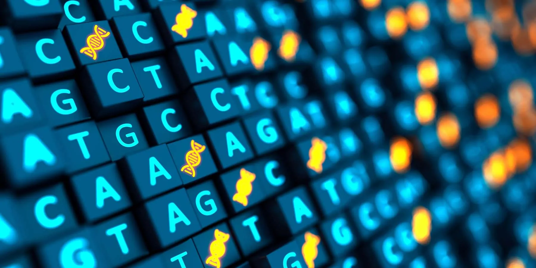 Computer representation showing the nucleic acid letters on small blue blocks