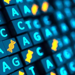 Computer representation showing the nucleic acid letters on small blue blocks