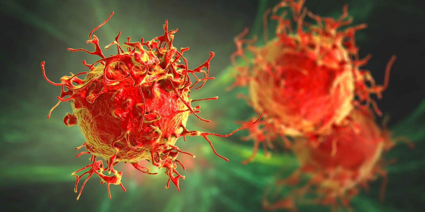 Computer image of red skin cancer cells on green backdrop