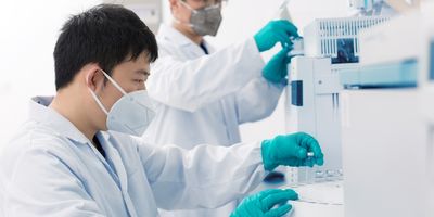 Medical laboratory workers in a lab wearing white lab coats, globes, and N95 masks handle SARS-CoV-2 samples