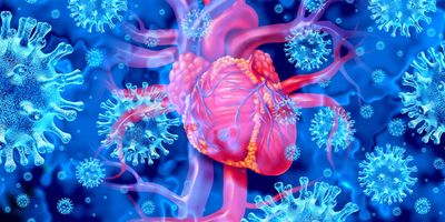 Illustration of a human anatomical heart surrounded by coronavirus particles.