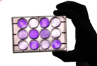 A Better Way to Transport Life-Saving Vaccines