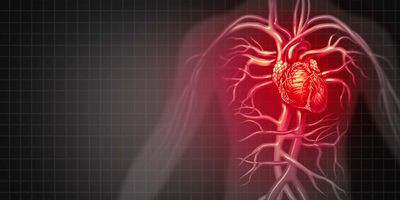 Computer image of a human vascular system where the heart is brigth red to indicate pain, on a black background