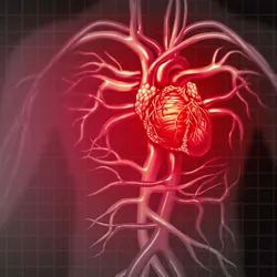 Computer image of a human vascular system where the heart is brigth red to indicate pain, on a black background