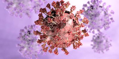 Computer image of the Omicron COVID-19 variant on a purple background