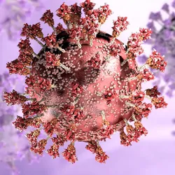 Computer image of the Omicron COVID-19 variant on a purple background