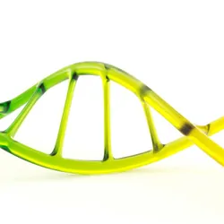A green, glass DNA model on a white background