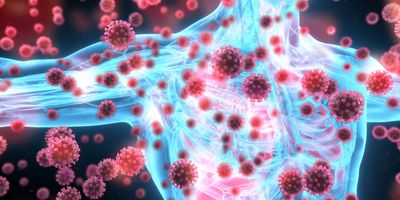 Computer image of a 3d human xray with COVID-19 viruses around it