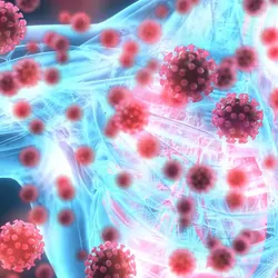 Computer image of a 3d human xray with COVID-19 viruses around it