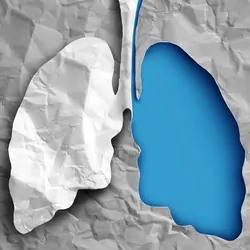 Paper lungs were one is blue and the other grey on a dark grey background of crumpled paper