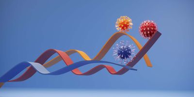 Illustration of the frequency of COVID-19 variants over time
