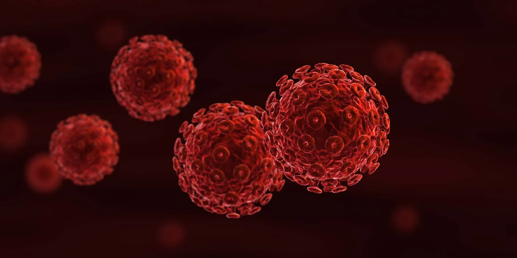 Computer image of two, red HIV cells interacting