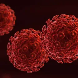Computer image of two, red HIV cells interacting