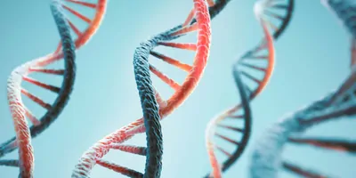 DNA where one strand is red and the other blue, on a light blue background