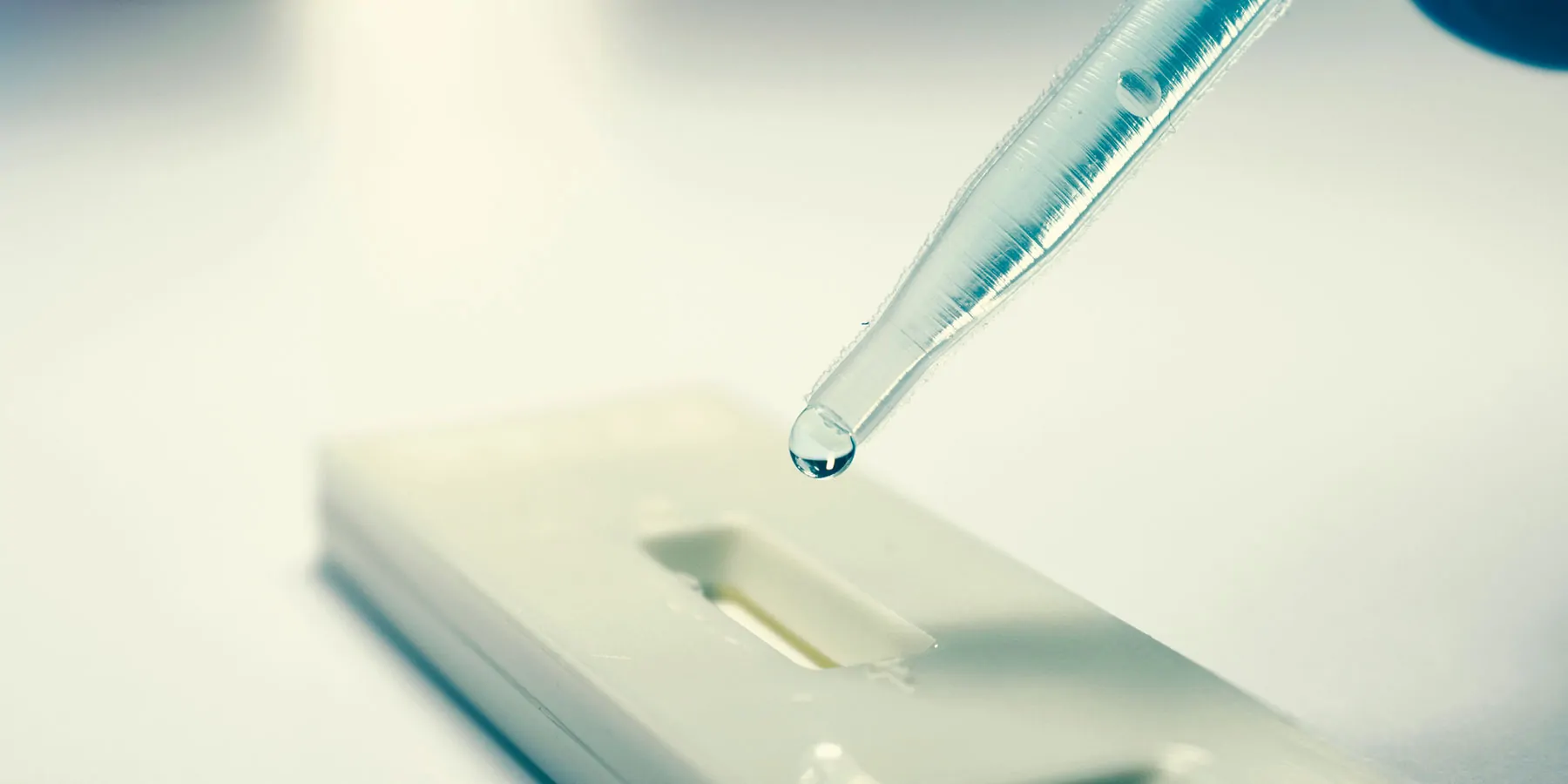 Photo of an over-the-counter rapid antigen COVID=19 test.