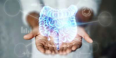 Person holding a holigraph of the human intestines