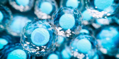 Illustration of 3D cell culture plate spheroids.