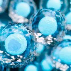 Illustration of 3D cell culture plate spheroids.