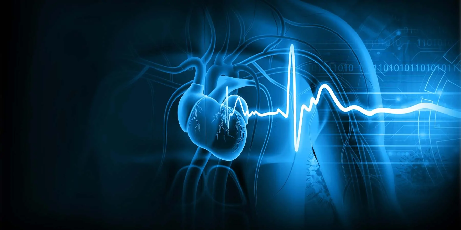 Computer image of human vascular system and heart double exposed with an ECG reading all shaded blue