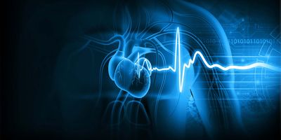 Computer image of human vascular system and heart double exposed with an ECG reading all shaded blue