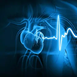 Computer image of human vascular system and heart double exposed with an ECG reading all shaded blue