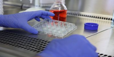 Laboratory professional holding plate