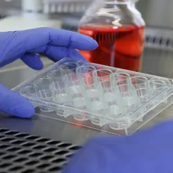 Laboratory professional holding plate