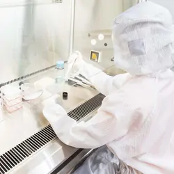 Photo of a clinical lab professional wearing PPE working with COVID-19 samples in a biosafety cabinet.