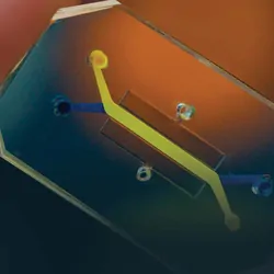 Photo of the Lung Airway Chip