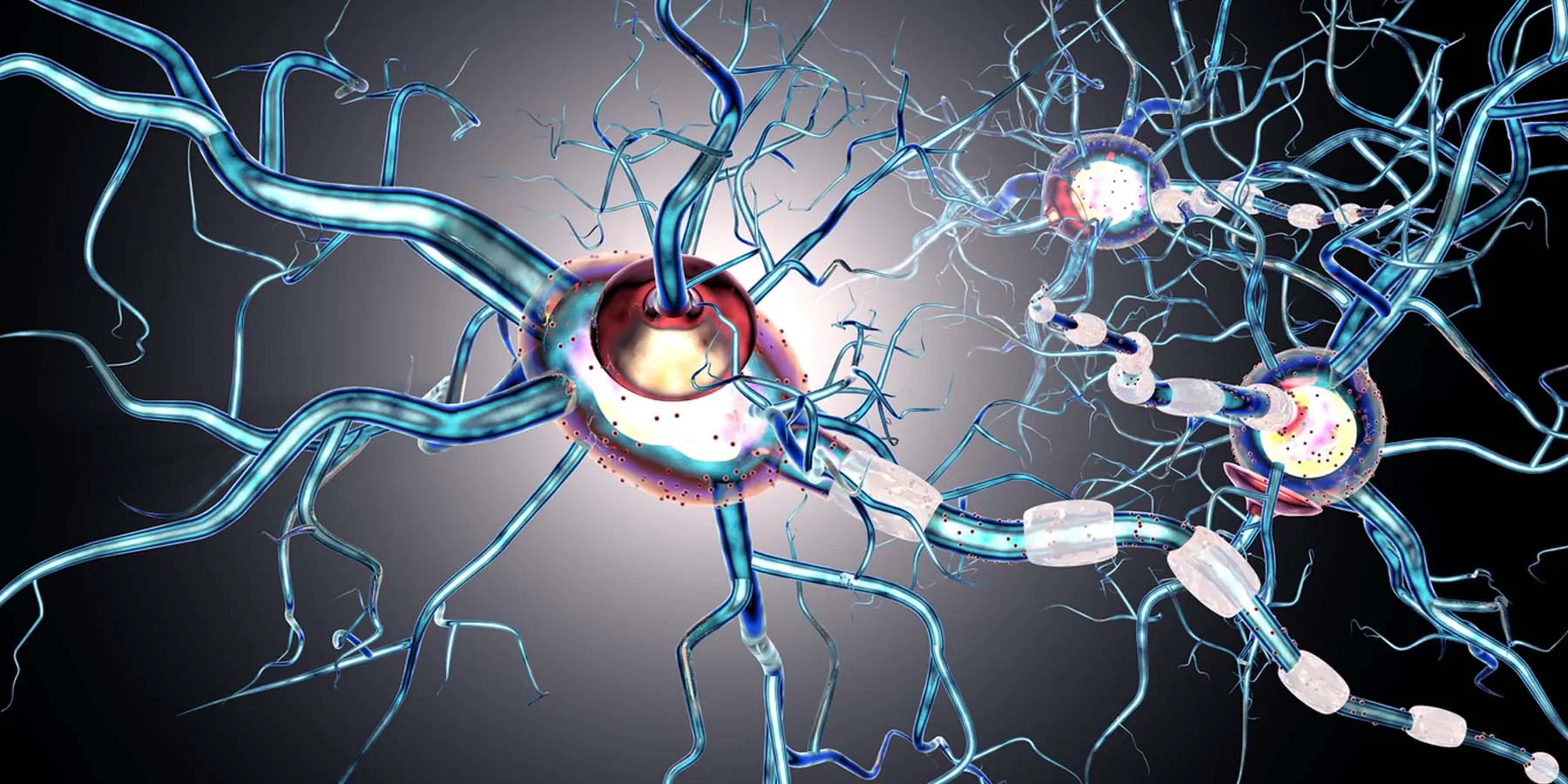 Neuron cells on a grey background