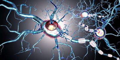 Neuron cells on a grey background