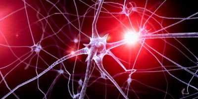 Neurons on a black and red background