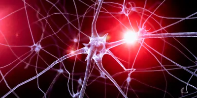 Neurons on a black and red background