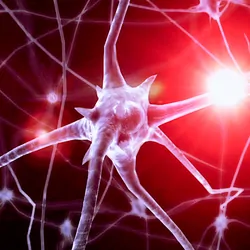 Neurons on a black and red background