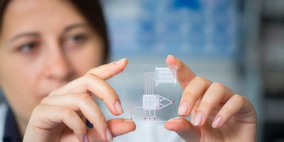 A clinical researcher holds up an organ chip in their hands.