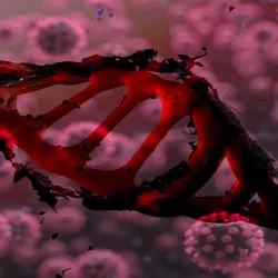 COVID-19 viruses floating around a strand of DNA on a red background