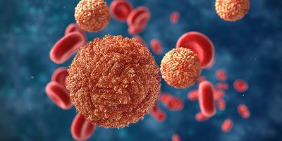 Zika virus floating with blood cells on a blue background