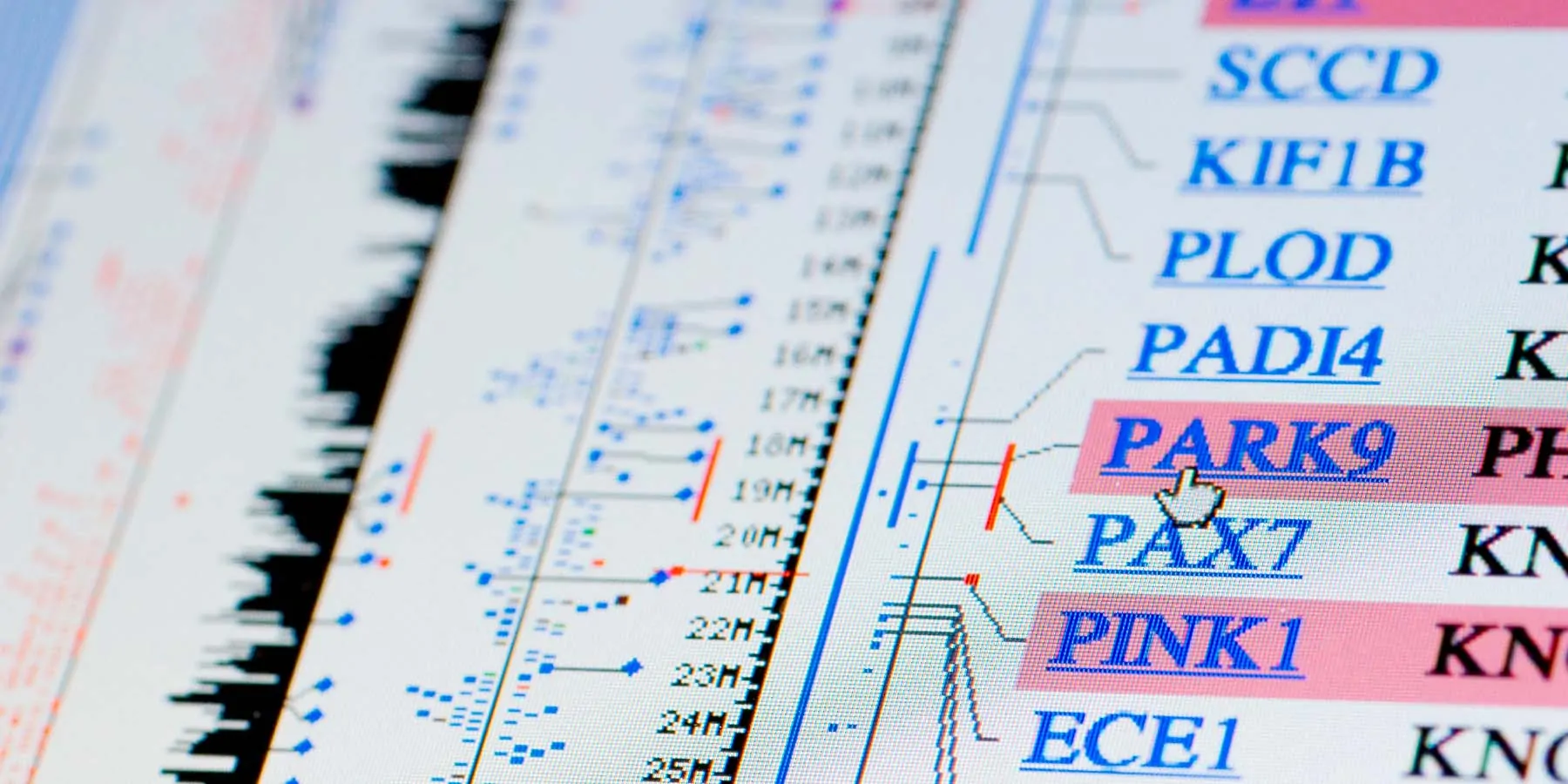 Computer screen showing genetic data and related diseases