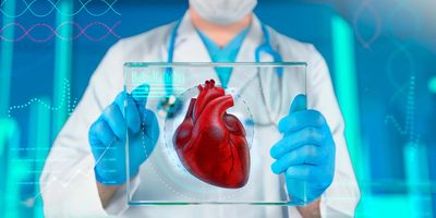 Doctor holding a screen with a human heart on it.