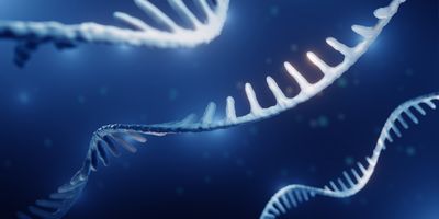 Illustration of an mRNA molecule against a dark blue background.