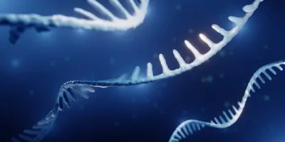 Illustration of an mRNA molecule against a dark blue background.
