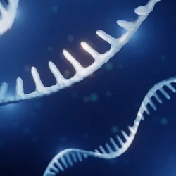 Illustration of an mRNA molecule against a dark blue background.