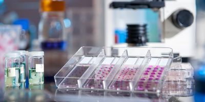 Photo of an immunohistochemistry glass slide.