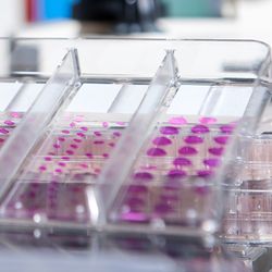 Empowering Pathologists by Bringing Reference Standards to IHC